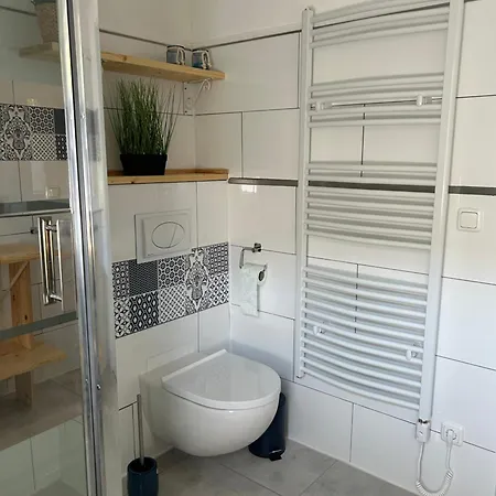 Kristina Steinmetz *