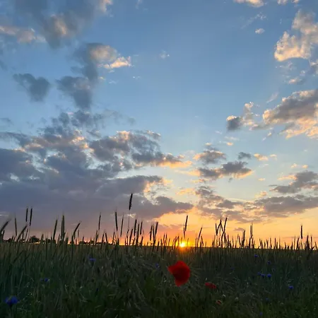 בית נופש Kristina Steinmetz Gartz