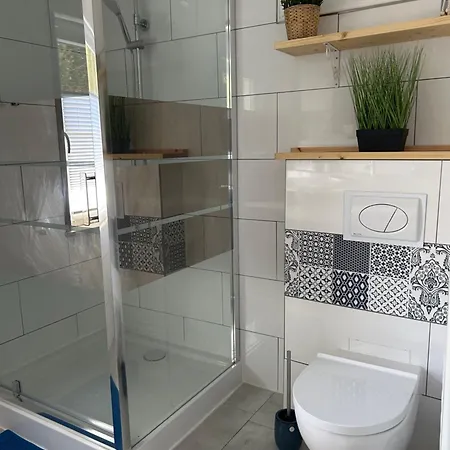 Kristina Steinmetz *