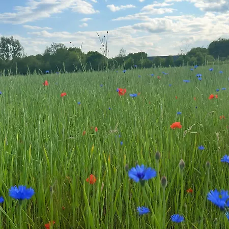 Kristina Steinmetz בית נופש