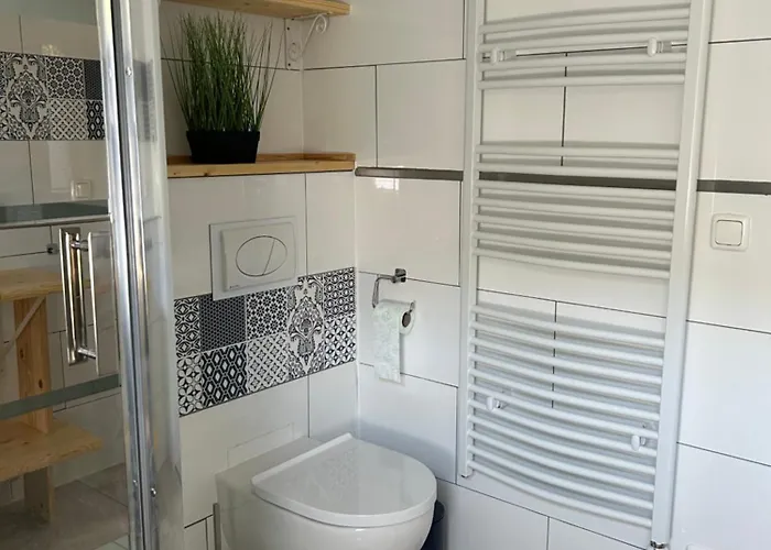 Kristina Steinmetz *