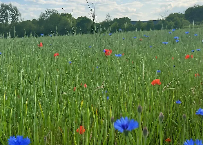 Kristina Steinmetz 펜션